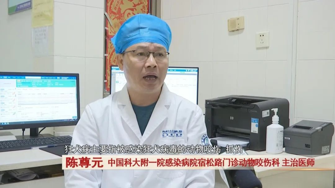 狂犬病进入高发期,动物咬伤科患者激增! 狂犬病进入高发期,动物咬伤科患者激增!