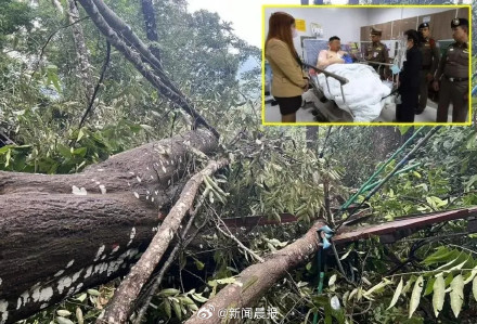 中国游客清迈丛林飞跃突发意外1死1伤