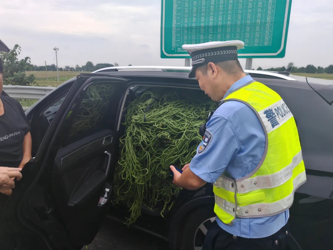 因为豆橛子,一驾驶员被罚!警方提醒 因为豆橛子,一驾驶员被罚!警方提醒