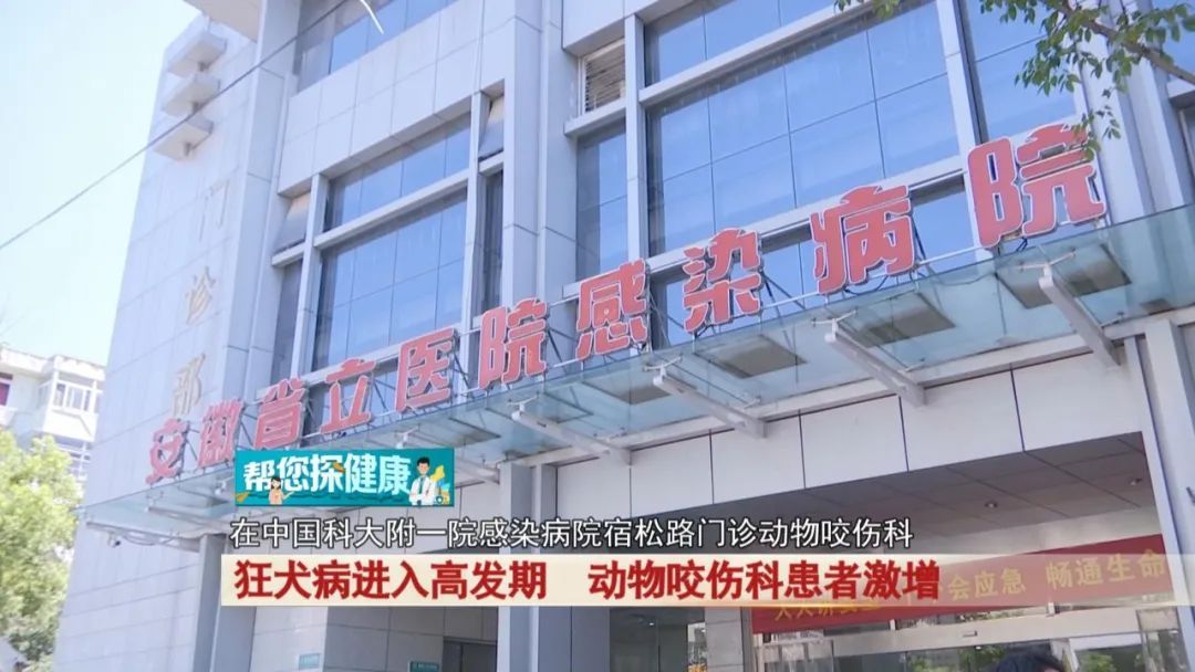 狂犬病进入高发期,动物咬伤科患者激增! 狂犬病进入高发期,动物咬伤科患者激增!