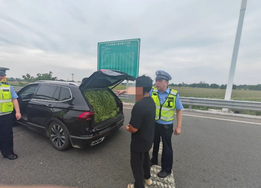 因为豆橛子,一驾驶员被罚!警方提醒 因为豆橛子,一驾驶员被罚!警方提醒