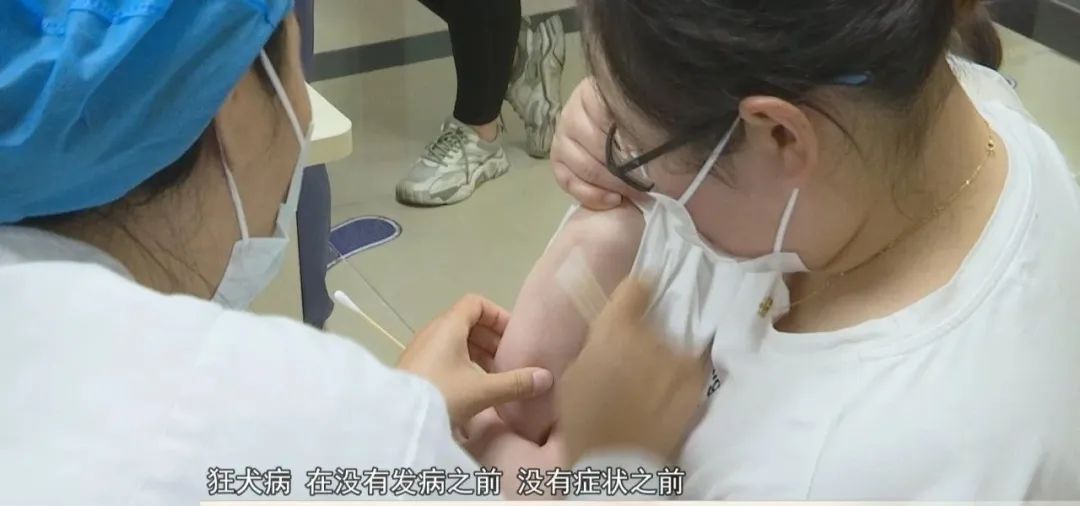 狂犬病进入高发期,动物咬伤科患者激增! 狂犬病进入高发期,动物咬伤科患者激增!