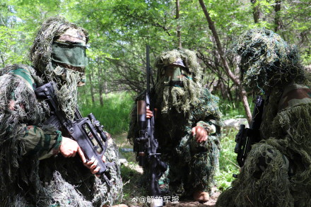 组图！直击武警多兵种融合演训