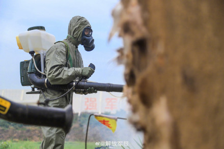 组图！直击武警多兵种融合演训