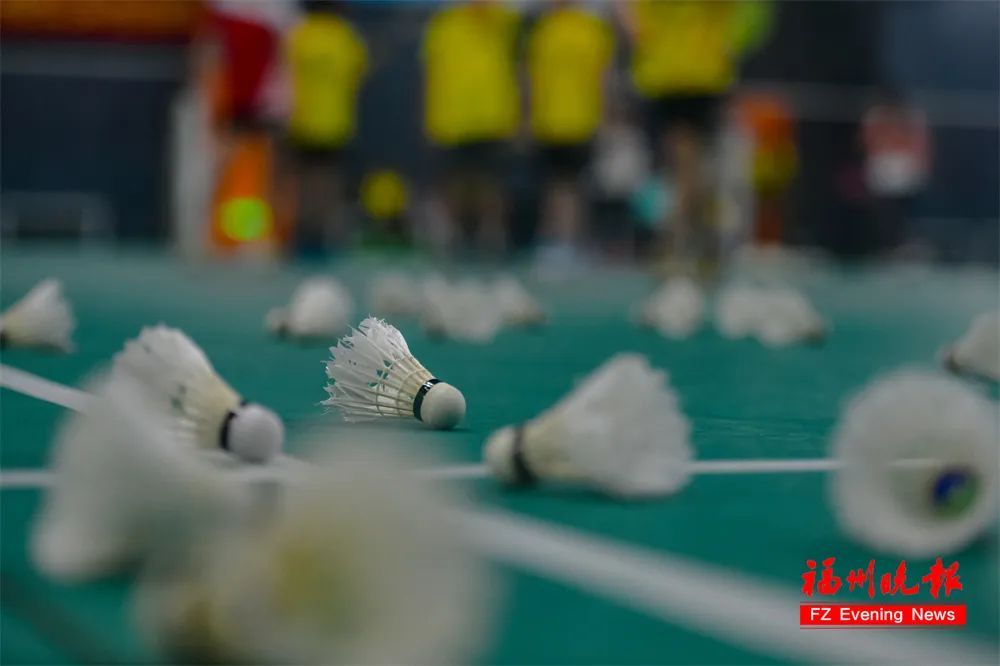 价格大涨！“一晚要四五百元”，很多福州人都喜欢……