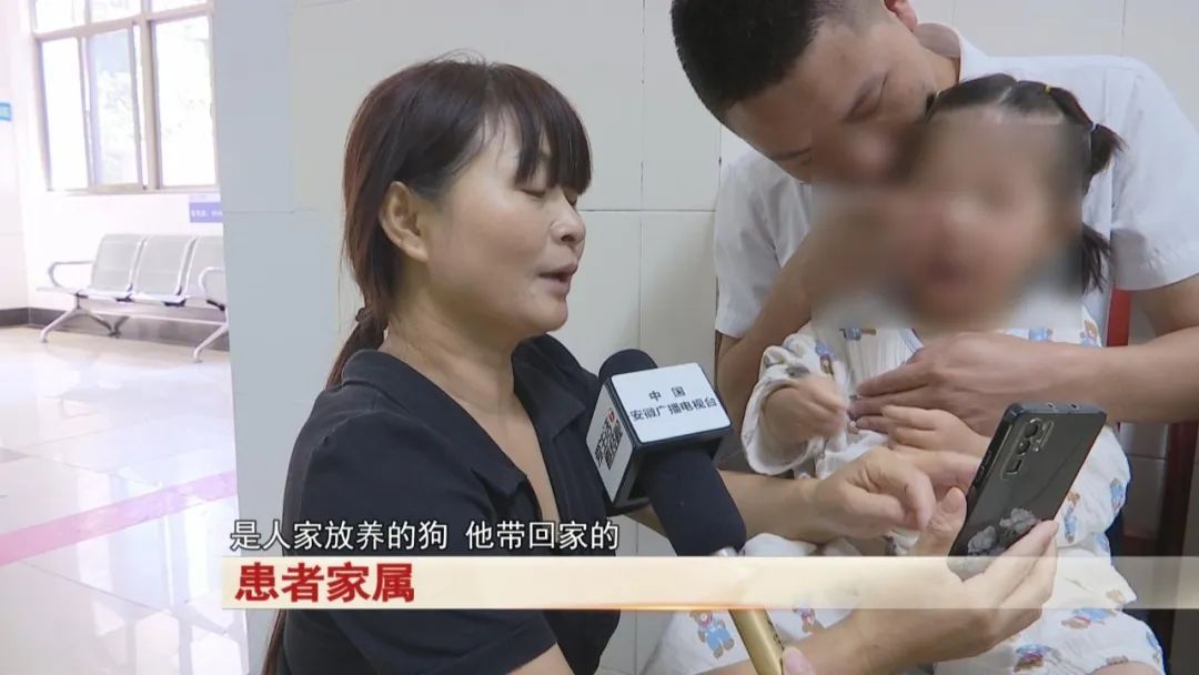 狂犬病进入高发期,动物咬伤科患者激增! 狂犬病进入高发期,动物咬伤科患者激增!