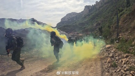 组图！直击武警多兵种融合演训