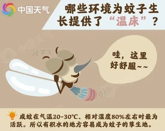 天太热，蚊子也少了？