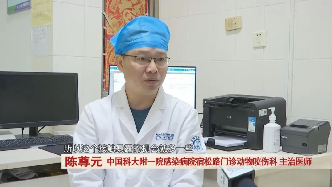 狂犬病进入高发期,动物咬伤科患者激增! 狂犬病进入高发期,动物咬伤科患者激增!