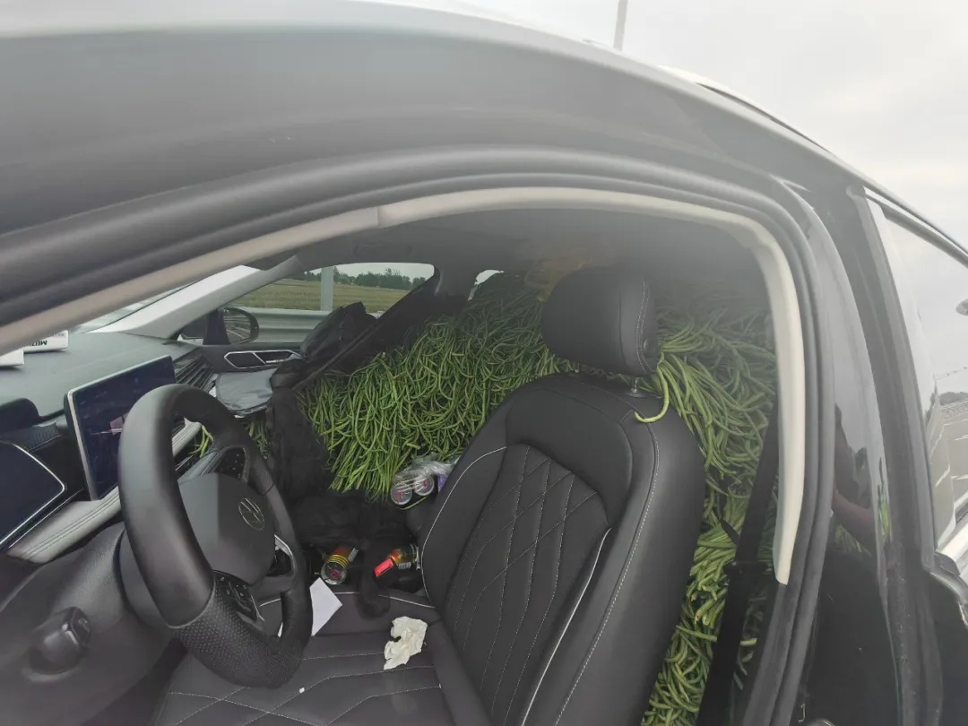 因为豆橛子,一驾驶员被罚!警方提醒 因为豆橛子,一驾驶员被罚!警方提醒