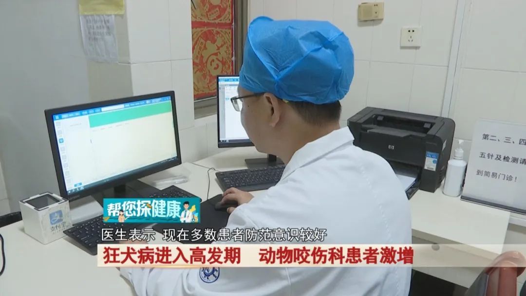 狂犬病进入高发期,动物咬伤科患者激增! 狂犬病进入高发期,动物咬伤科患者激增!