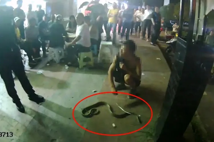 男子当街遛蛇，被行拘5日