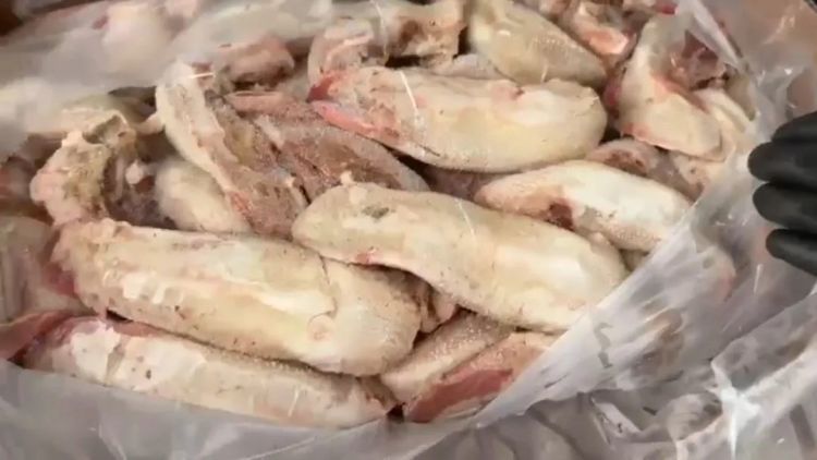 浙江海警破获跨省特大冻品走私案