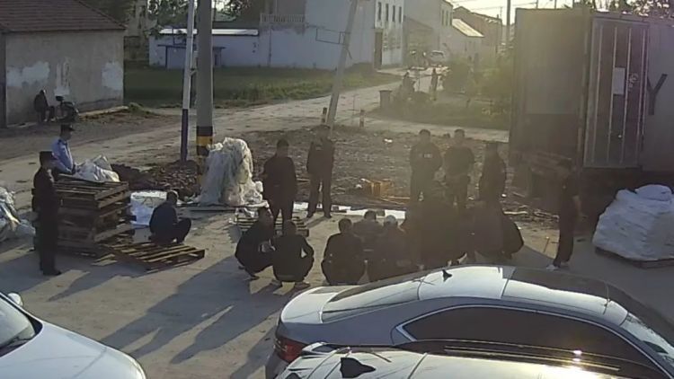 浙江海警破获跨省特大冻品走私案
