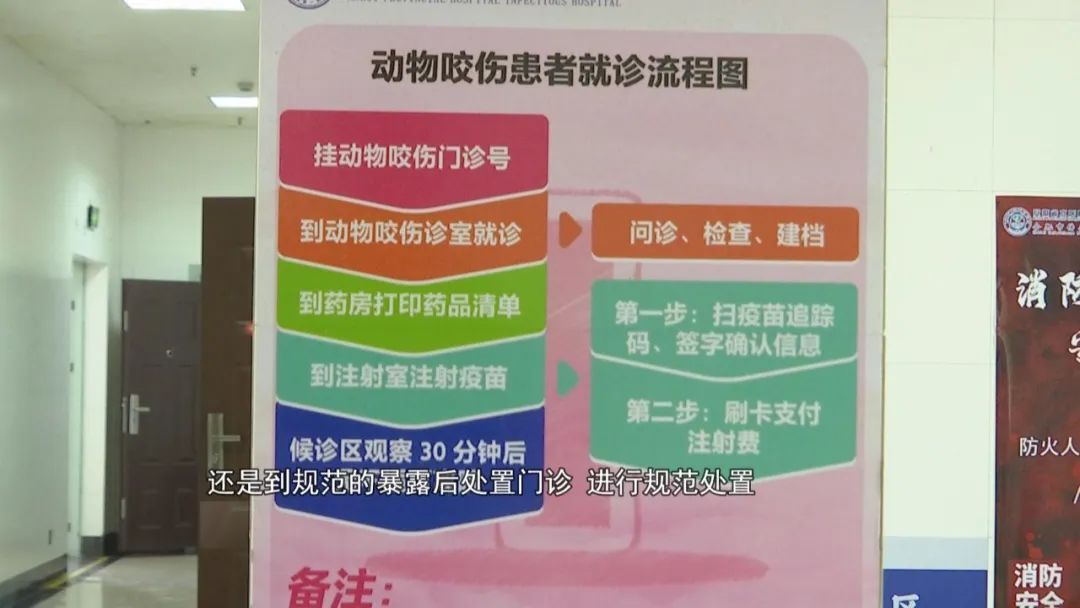 狂犬病进入高发期,动物咬伤科患者激增! 狂犬病进入高发期,动物咬伤科患者激增!