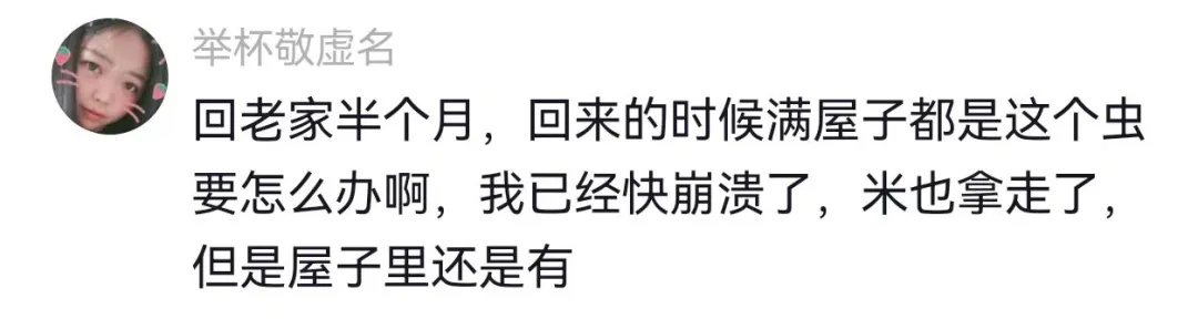 头皮发麻！女子厨房发现这一幕，近期高发赶紧速查