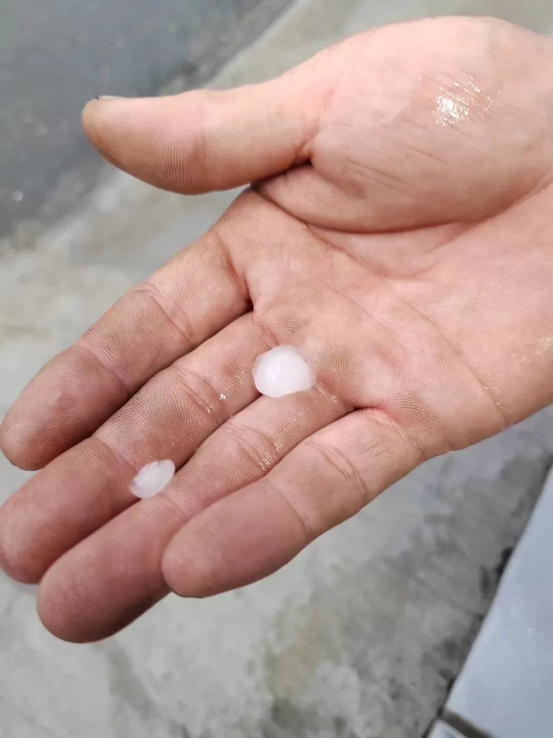 深圳下冰雹了? 深圳下冰雹了?