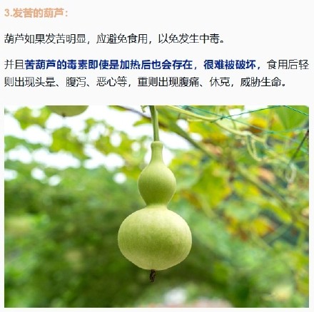 这4种发苦的食物最好别吃 这4种发苦的食物最好别吃
