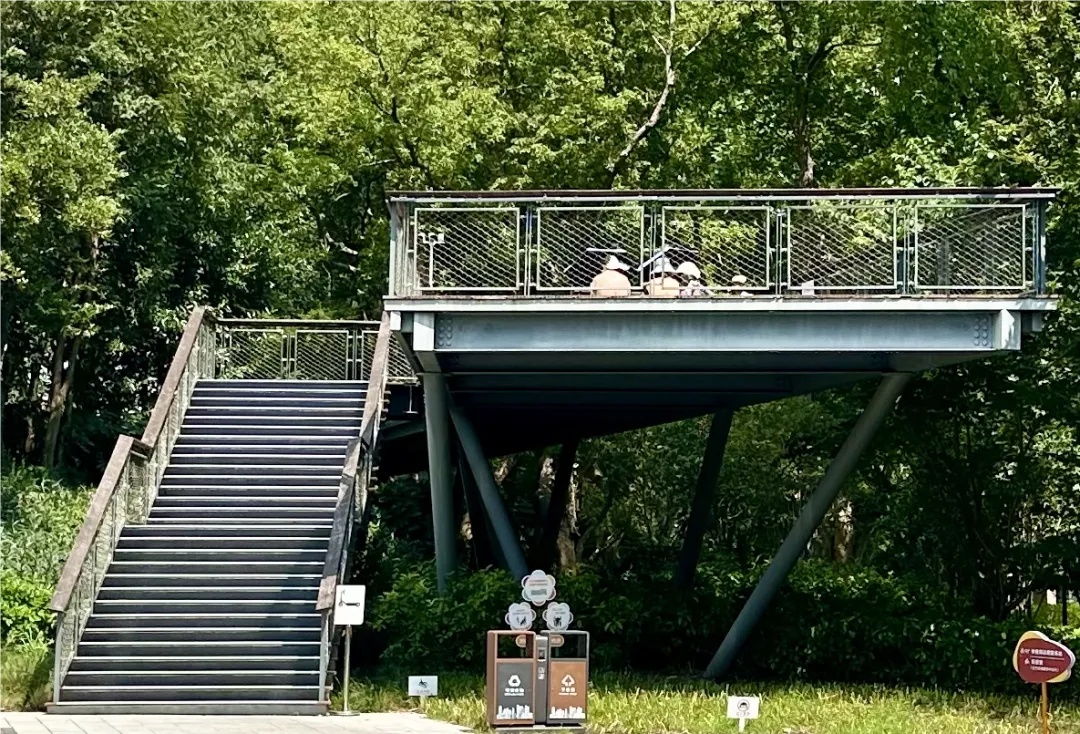 衣着暴露“辣眼睛”？这些人占领公园，专家提醒