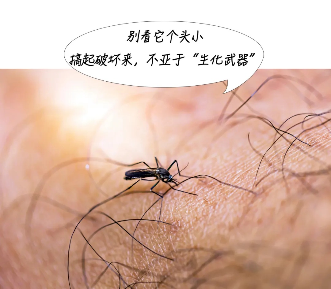 发病比断骨还痛？初期症状和流感相似，上海多区发布提醒→