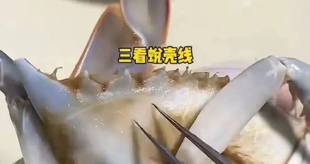 鲜鲜鲜！绍兴人的最爱开卖了，价格......