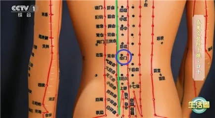 衣着暴露“辣眼睛”?三伏天“晒背”火了,你晒对了吗? 衣着暴露“辣眼睛”?三伏天“晒背”火了,你晒对了吗?