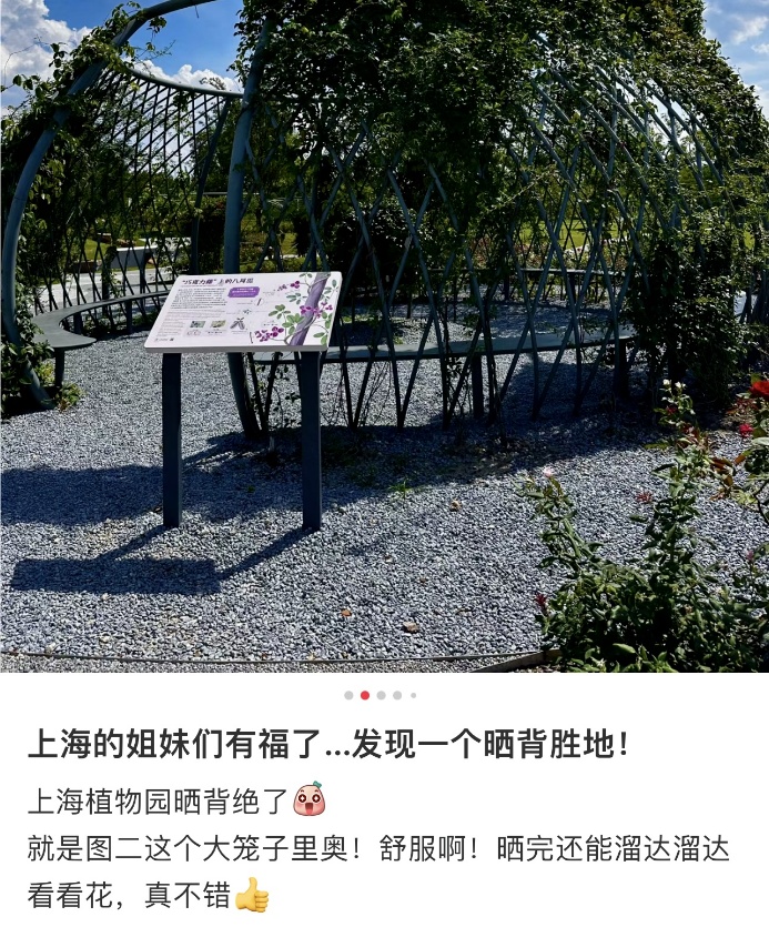 衣着暴露被投诉！这些人占领公园