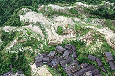 “山水顶流”如何接住“暑期流量” —来自广西的走访调研