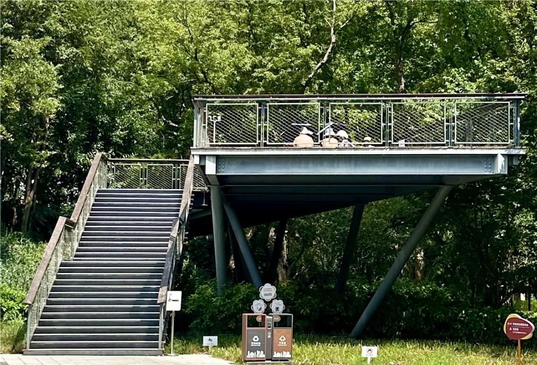 衣着暴露“辣眼睛”?三伏天“晒背族”占领上海各公园!园方成了“三夹板” 衣着暴露“辣眼睛”?三伏天“晒背族”占领上海各公园!园方成了“三夹板”