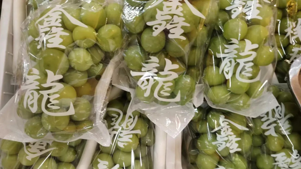 又又又降价了！葡萄界“爱马仕”最低9.9元一串？广东正大量上市