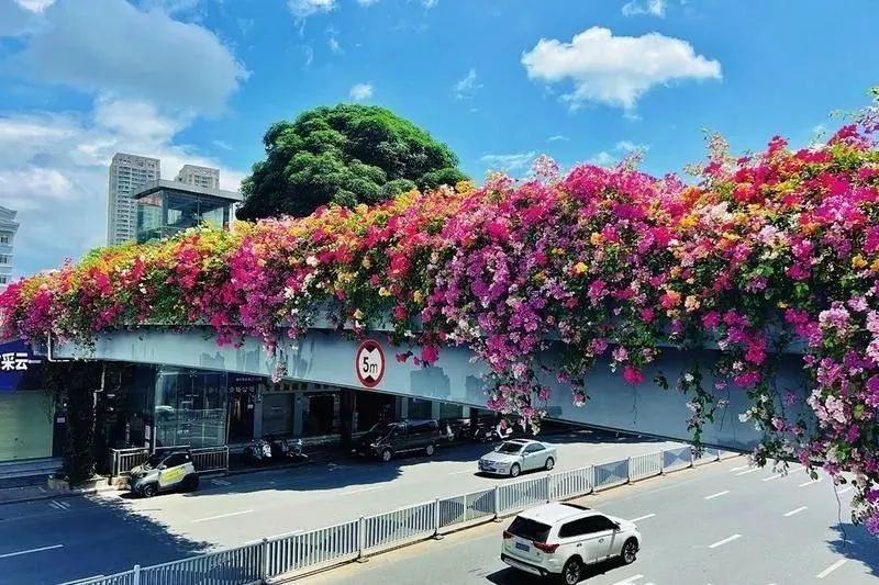 南宁发布高温黄色预警，未来3天最高气温在35℃以上