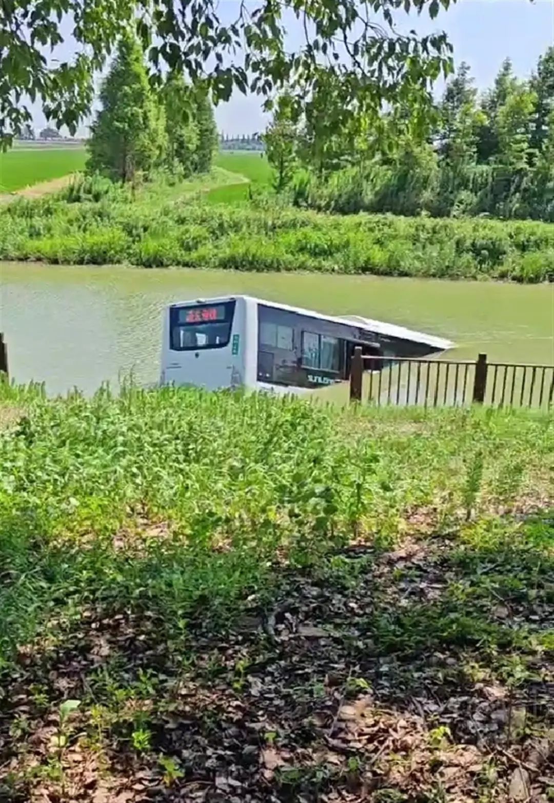 一公交车坠河,致1死!司机突发疾病,车上还有乘客!警方通报 一公交车坠河,致1死!司机突发疾病,车上还有乘客!警方通报