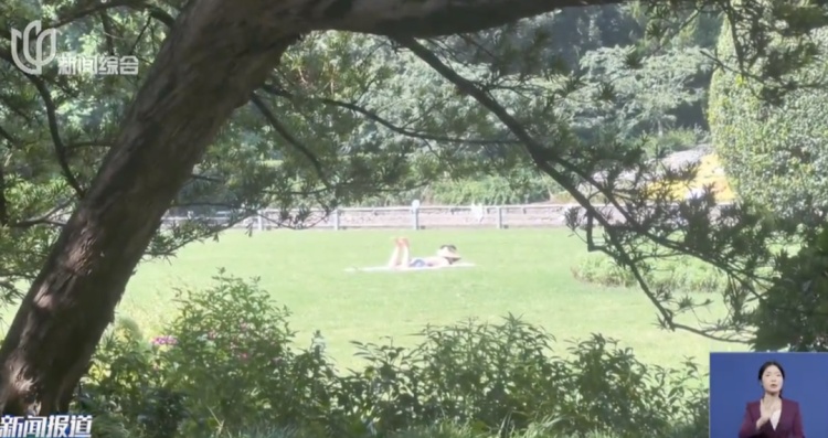 衣着暴露被投诉！这些人占领公园