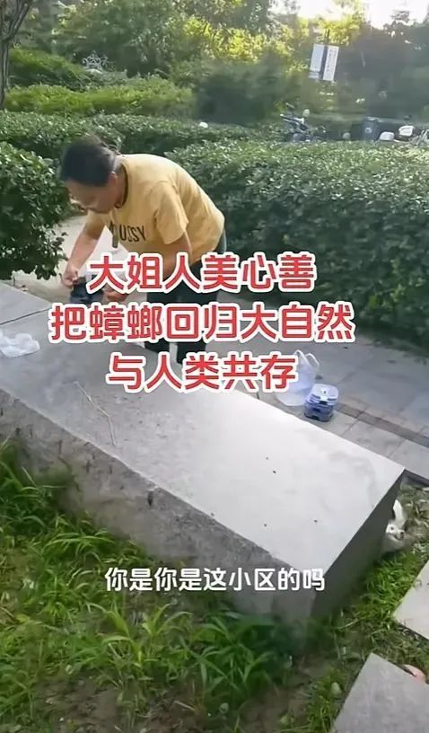 女子在小区放生蟑螂！ 被业主制止时反怼“你凭什么拍”