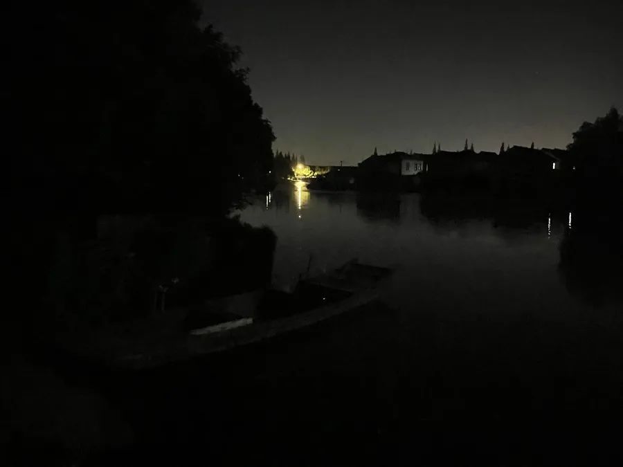 “夜游追萤”变“野外求生”！上海母子在漆黑河道迷路、呼救无人应答……