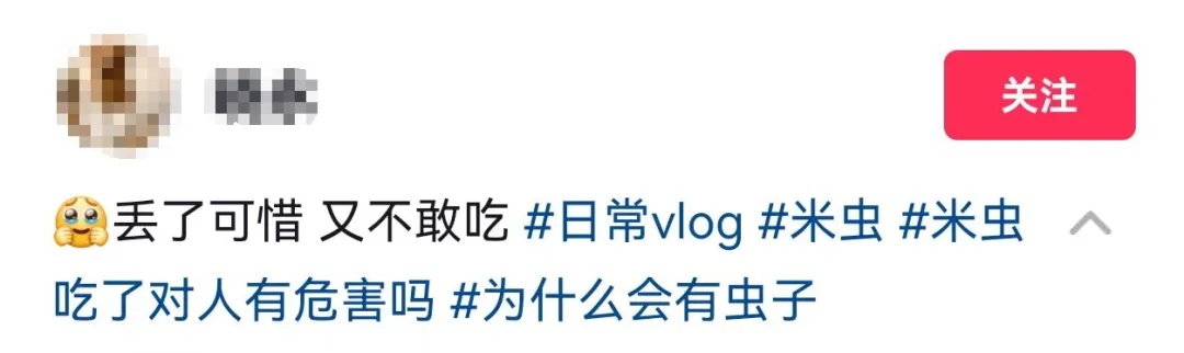 女子被厨房这一幕恶心坏了!许多人家里发现…… 女子被厨房这一幕恶心坏了!许多人家里发现……