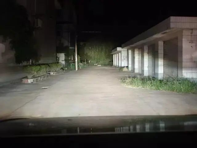 瞬间致盲！司机驾车无碰撞却致人死亡 法院判了