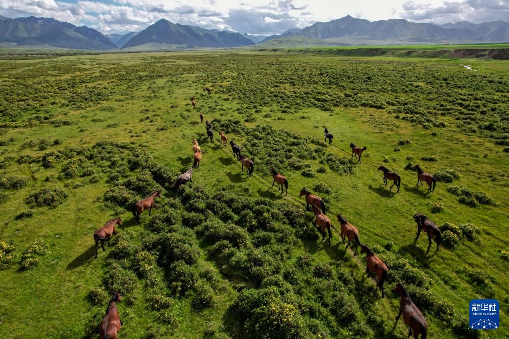 牧马祁连 延绵千年