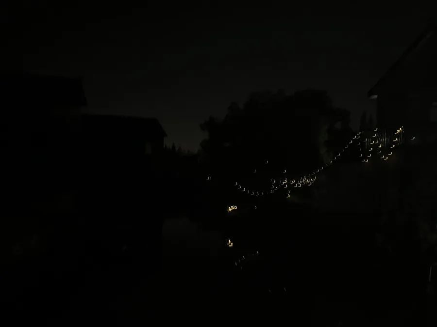 “夜游追萤”变“野外求生”！上海母子在漆黑河道迷路、呼救无人应答……