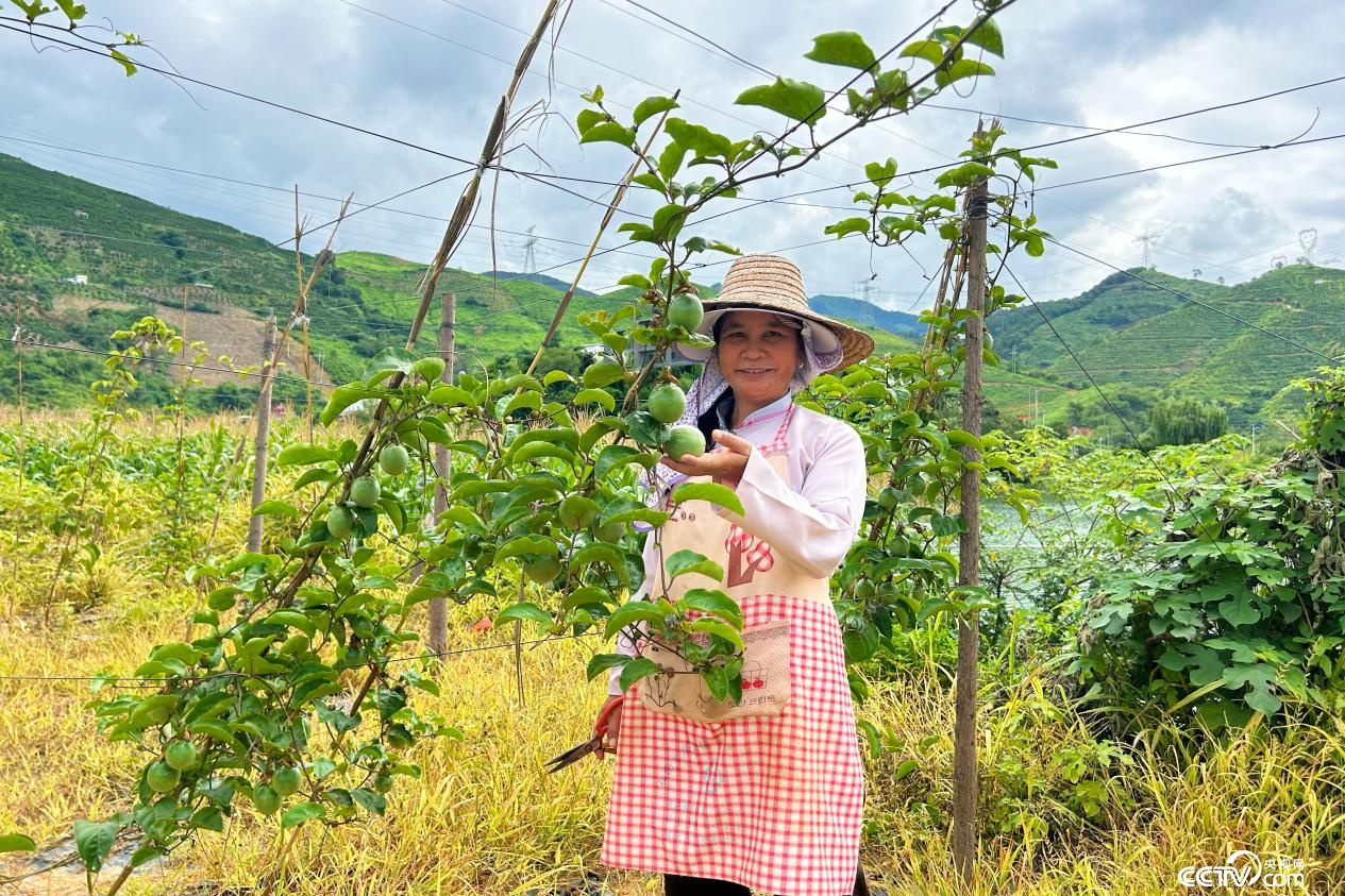 逐浪西江行｜一江碧水书写“生态答卷” 加速构建西林文旅产业新格局