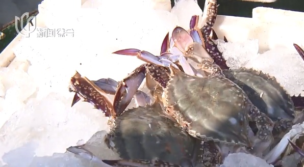 价格腰斩！很多上海人迫不及待了，有人连夜“抢货”……还会跌？