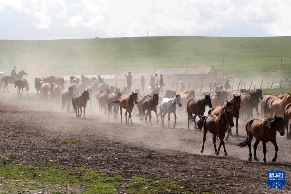 牧马祁连 延绵千年