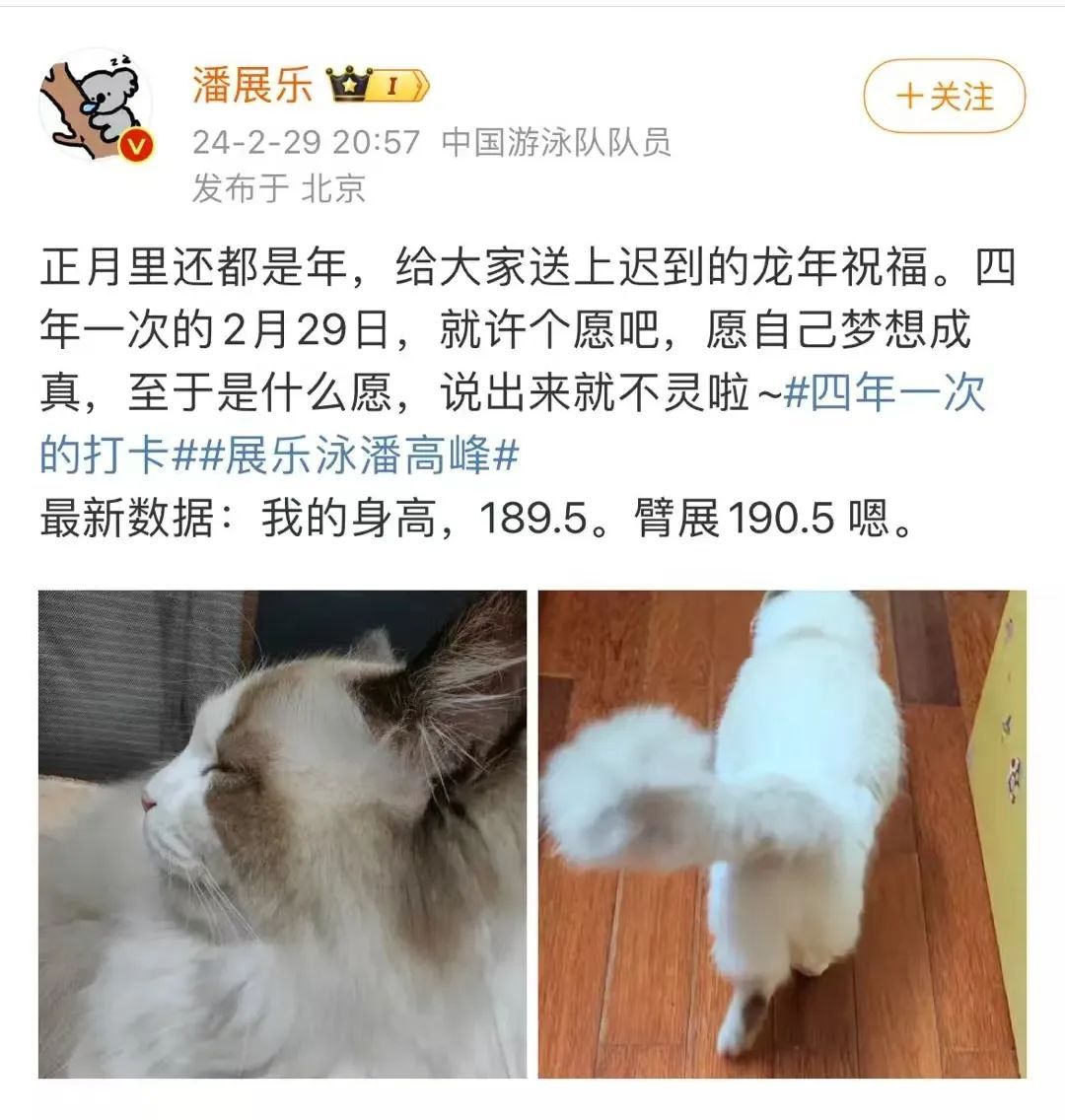 潘展乐：嘲讽和欢呼，在水里都听不见