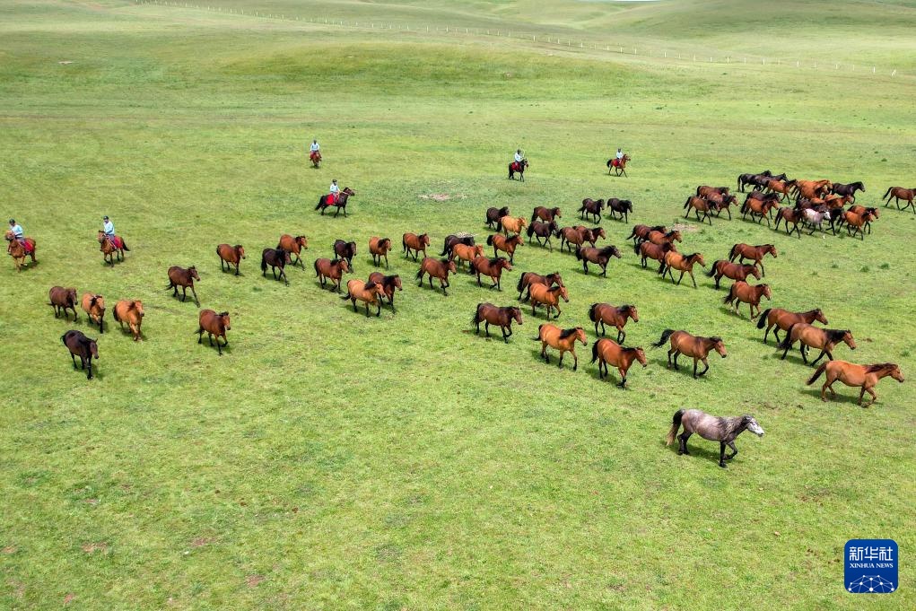 牧马祁连 延绵千年