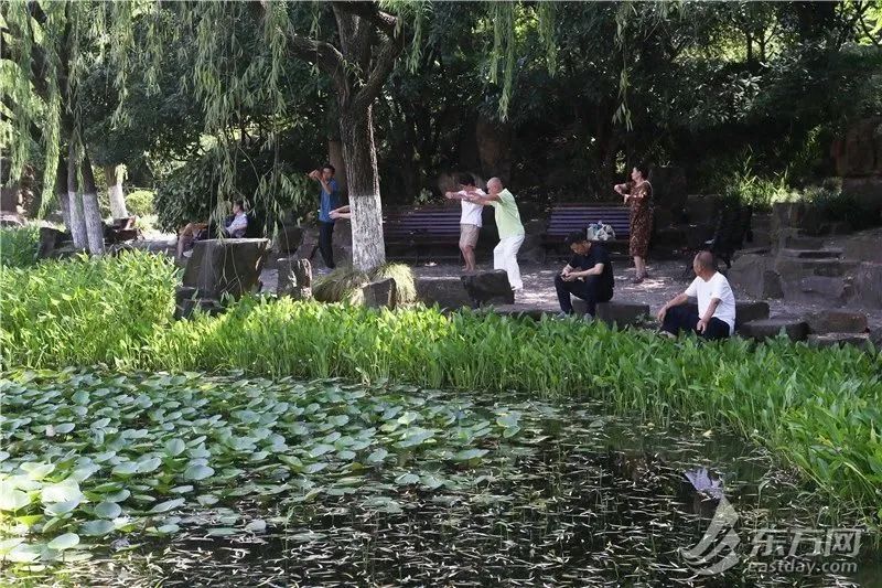 副高往年在海上，今年在上海！高温还要持续一周，好消息：降雨降温终于有苗头了→