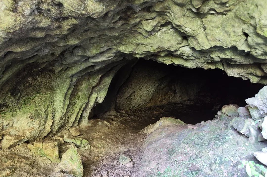 国内罕见!初步判断,距今数万年以上 国内罕见!初步判断,距今数万年以上