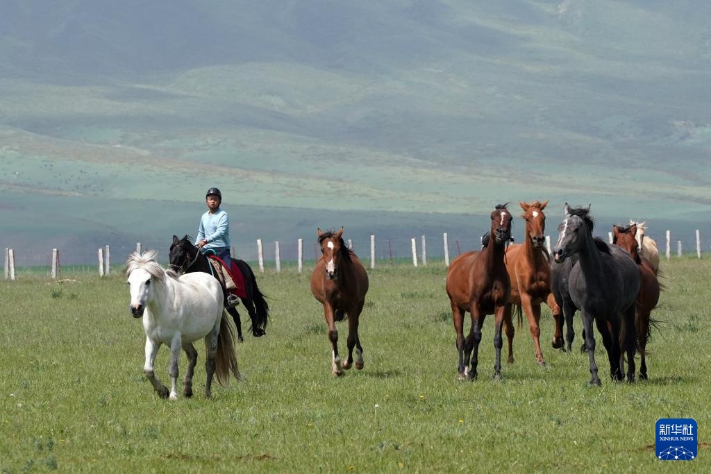 牧马祁连 延绵千年