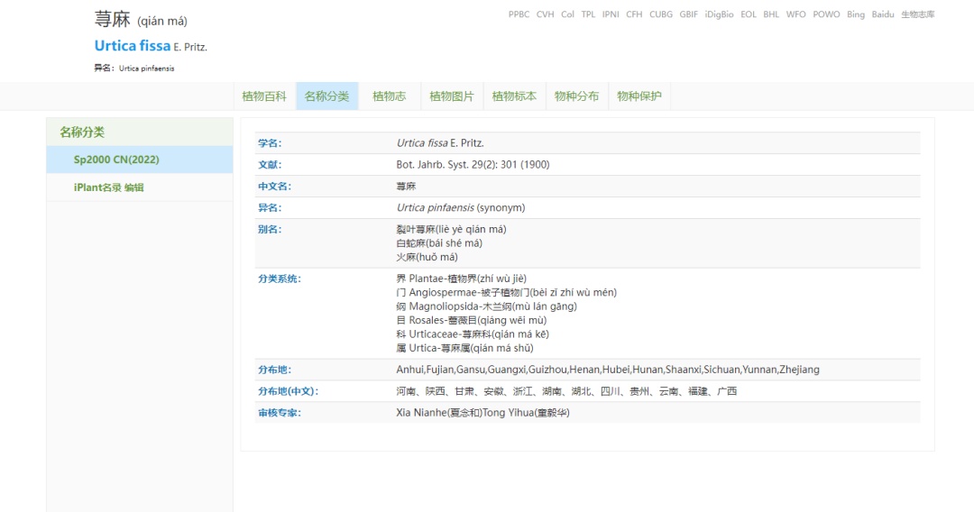 这种叶子会“咬人”！有市民在贵阳公园发现了它……