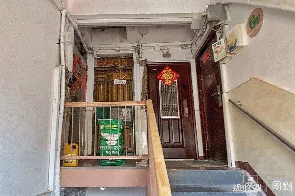 几百只鸽子养在楼顶，小区居民苦不堪言16载