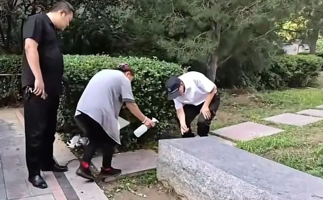 女子在小区放生蟑螂！ 被业主制止时反怼“你凭什么拍”